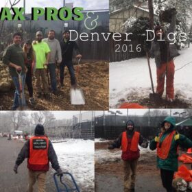 Vivax Pros volunteering at Denver Digs 2016