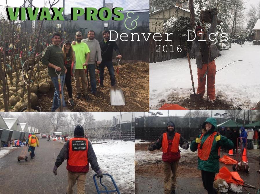 Vivax Pros volunteering at Denver Digs 2016