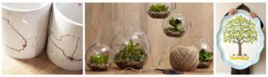 DIY mug, terrarium, plate