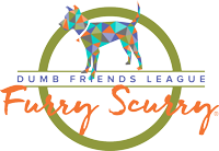 Dumb Friends League Furry Scurry logo