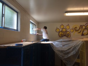 Painter framing windows