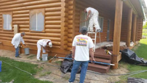 Workers staining log cabin