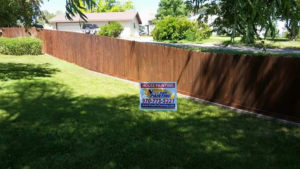 Newly stained fence in yard