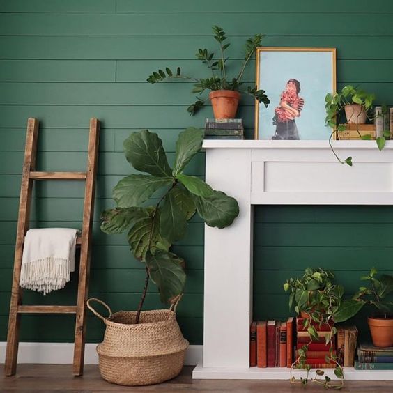 interior home green paint and decorations