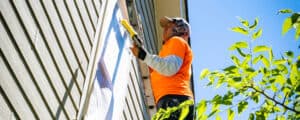 Vivax Pros painter works on ladder painting a home